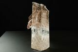 Stunning, Glassy Selenite Crystal - Naica Mine, Mexico #372137-4